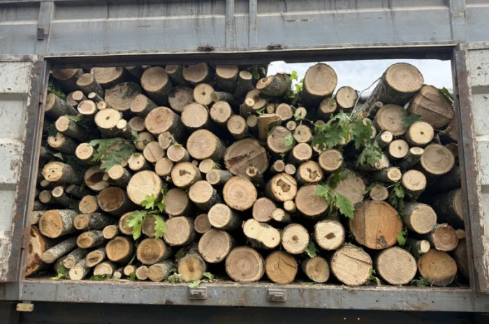 Пропонуємо дрова твердих порід- фото № 2