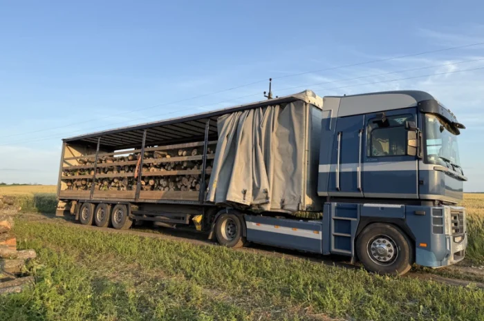 Пропонуємо дрова твердих порід- фото № 4