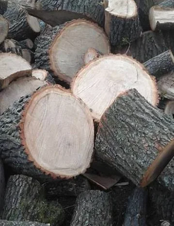 Продаются колотые дрова в Пустомытях- фото № 4