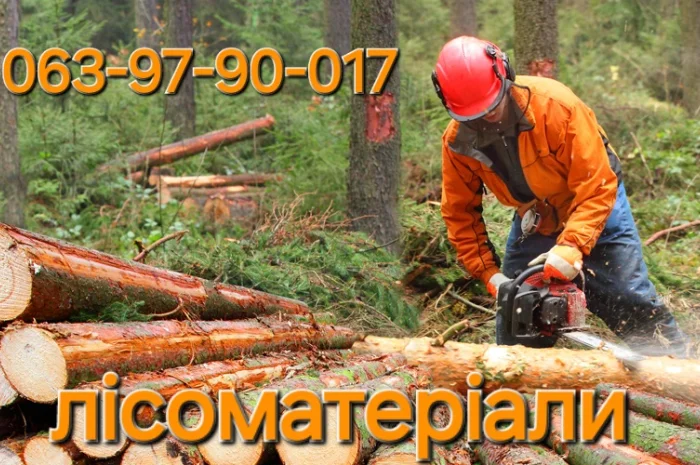 Дрова дубові метрові та колоті у продажу- фото № 3