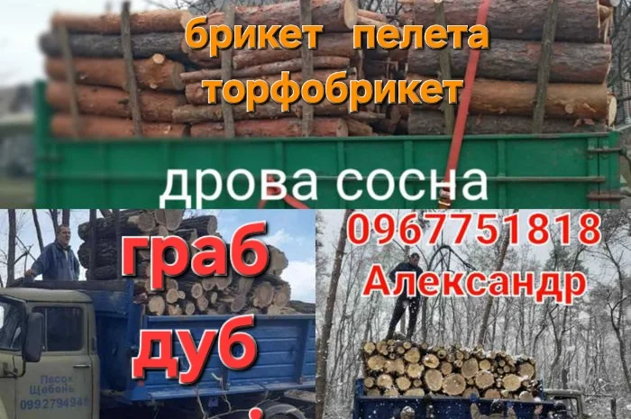 Дрова, брикеты и уголь в продаже- фото № 1