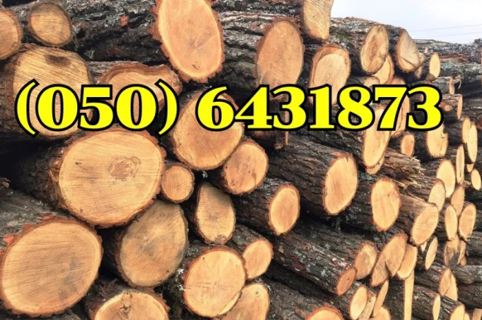 Продаются дубовые дрова колотые и в чурках- фото № 1