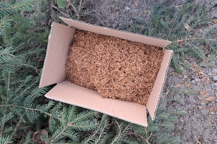 Тютюн- фото № 3