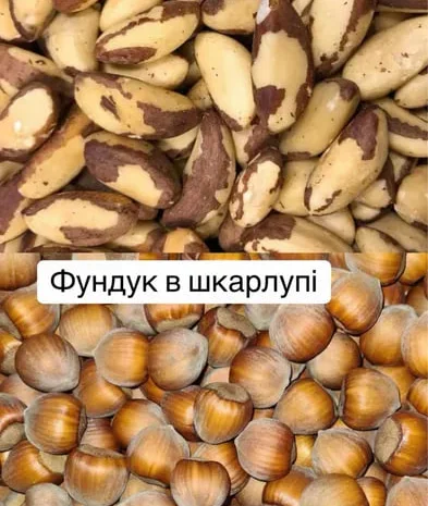 Продажа орехов ( фундук, фисташки ) сухофруктов- фото № 2