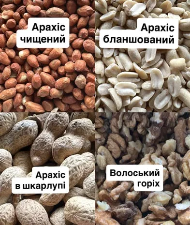 Продажа орехов ( фундук, фисташки ) сухофруктов- фото № 3