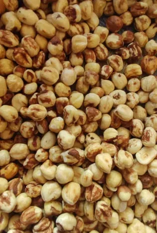 Фундук- фото № 1