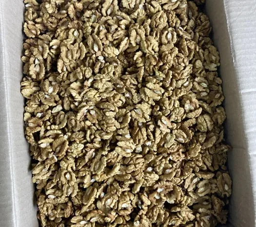 Ядро грецкого ореха ядро волоського горіху- фото № 1