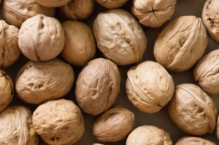 Продам целый грецкий орех- фото № 1