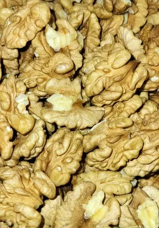 Орехи грецкие, Орехавые перепонки для лечение- фото № 1