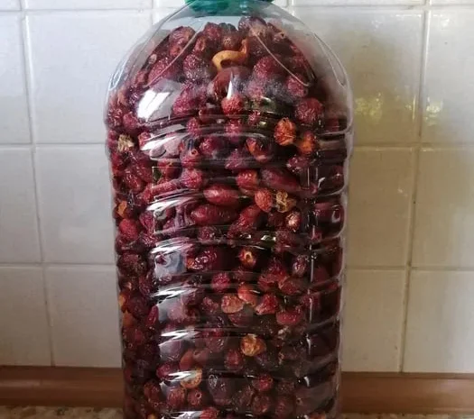 Шипшина Шиповник, 200 грн за 1 кг, урожай 2025 року- фото № 1