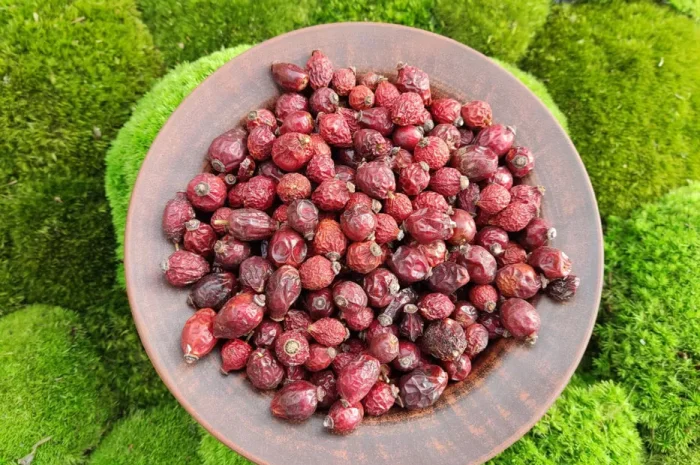 Шипшина сушена , шиповник сушеный- фото № 1