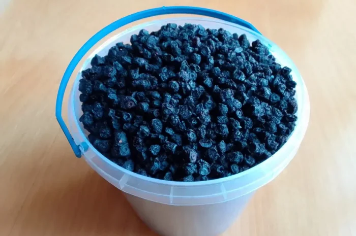 ЧОРНИЦЯ ЛІСОВА СУХА Збиралась і сушилась- фото № 1