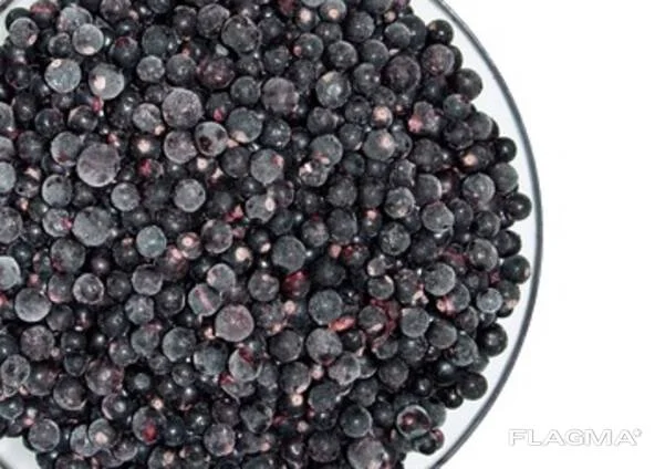 Продам 500 кг смородини замороженої- фото № 1