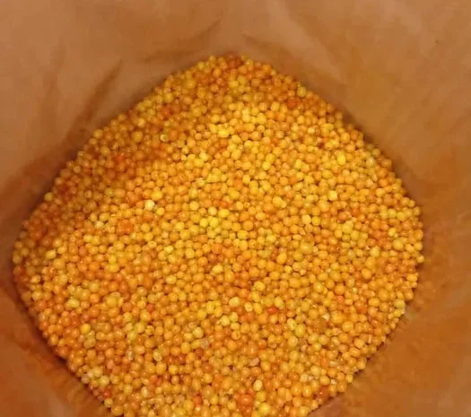 Обліпиха Ягода (Ягода Обліпихи\Облепиха)- фото № 1