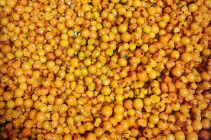 Лесная облепиха протёртая с сахаром- фото № 1