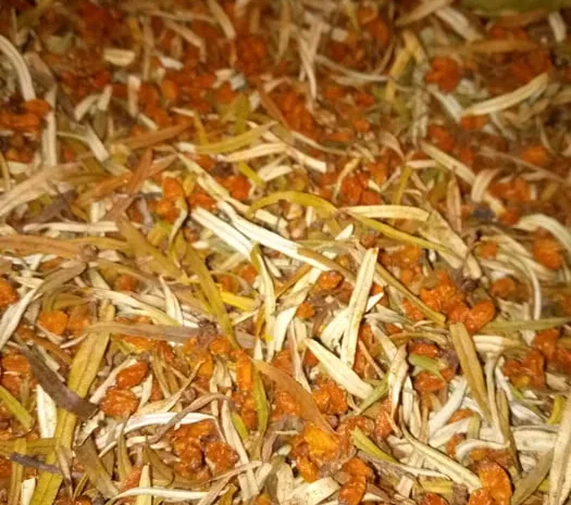 Обліпиха суха ягоди,чай,листя обліпихи- фото № 1