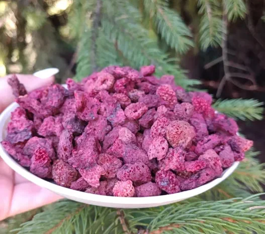 Суха,сушена малина ЛІСОВА, лесная ягода малина- фото № 1