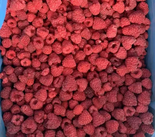 Малина замороженная- фото № 1