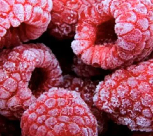 Продам заморожені ягоди малини ,калини.- фото № 1