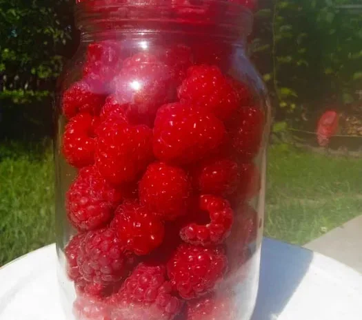 Продам малину ,(Новоселиця-Зелений Гай)(свіжа)- фото № 1