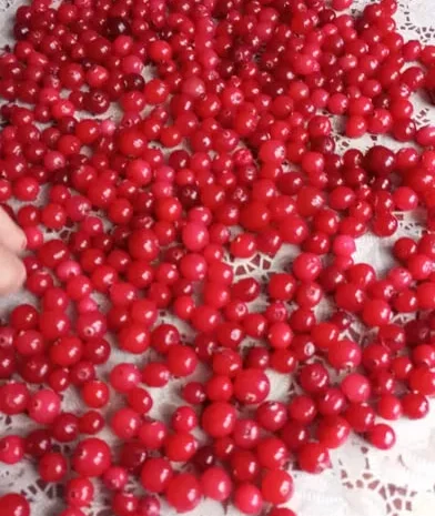 Продам клюкву - журавлину світленька- фото № 1