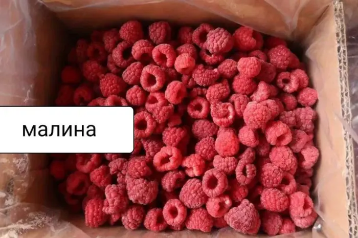 Вишня без косточки Клюква, малина, голубика, клубн.- фото № 3