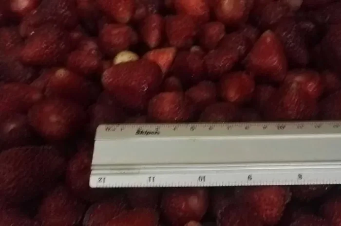 Клубника замороженная- фото № 1