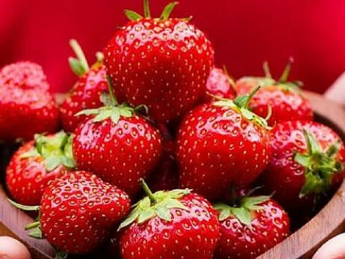 Добірна садова полуниця- фото № 1