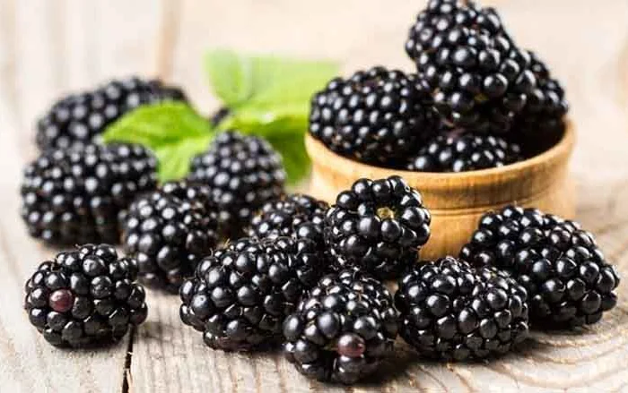 Пропонується свіжа ожина- фото № 1