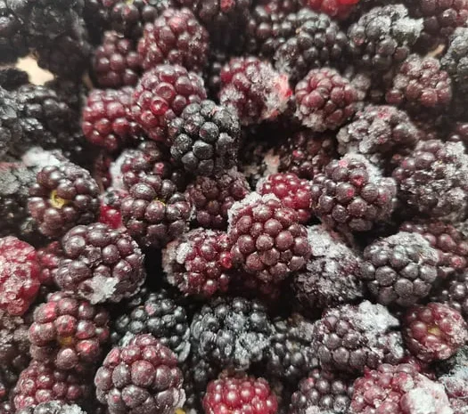 Заморожені ягоди: порічка, малина, ожина- фото № 1