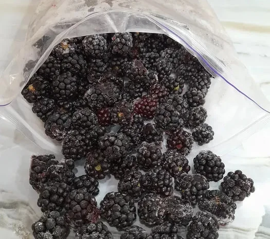 Замороженные ягоды: черная смородина, красная смородина, ежевика- фото № 1