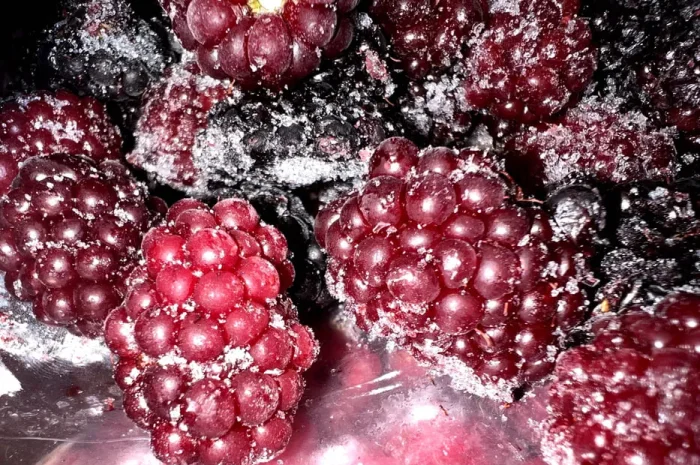 Ожина та малина заморожені 2025 року- фото № 1