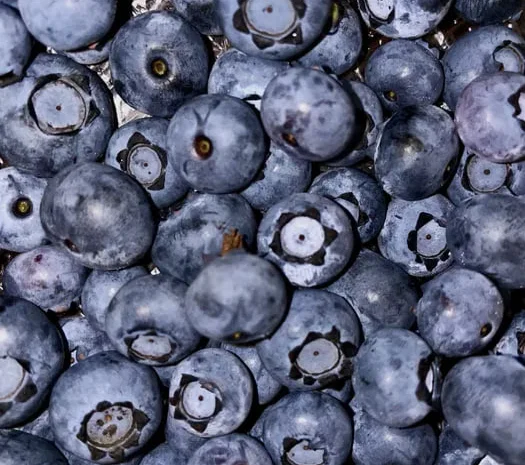 Замороженные ягоды голубики и малины- фото № 1