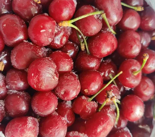 Замороженная черешня- фото № 1