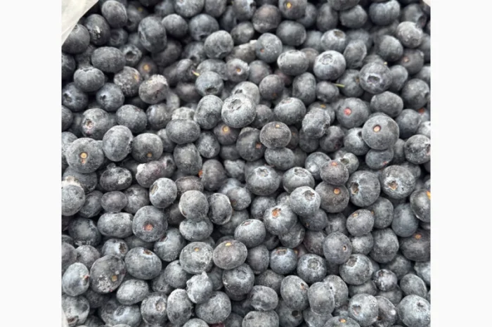 Лохина заморожена- фото № 1