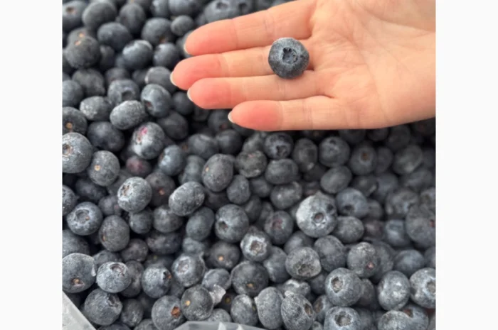 Лохина заморожена- фото № 2