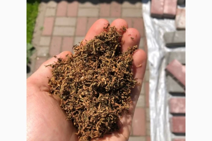 Тютюн Гавана, Давідофф, КапБлек та інші сорти у продажу- фото № 4