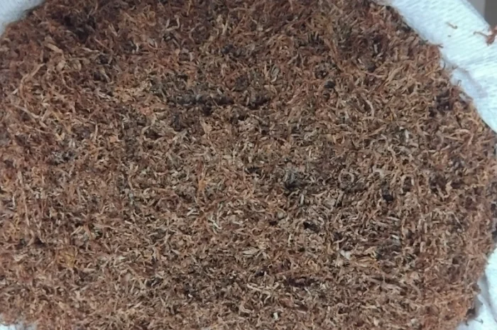 Качественный табак. Набитые гильзы Вирджиния, Берли, Винстон, Кэмэл- фото № 10