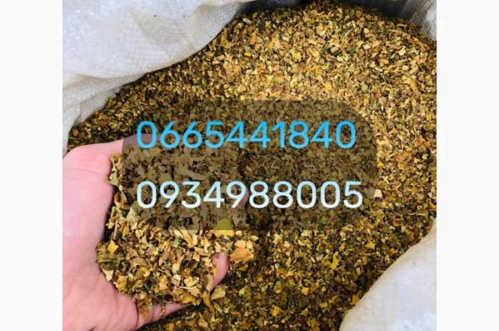 Табак Мальбро, Голд, Руно, Ксанті, Вінстон, Кемел, Берлі, Вірджинія и другие- фото № 6