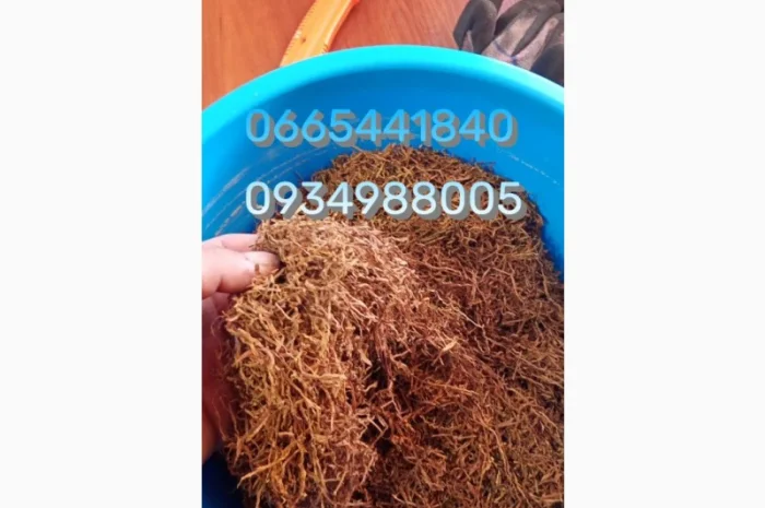 Табак Мальбро, Голд, Руно, Ксанті, Вінстон, Кемел, Берлі, Вірджинія и другие- фото № 17