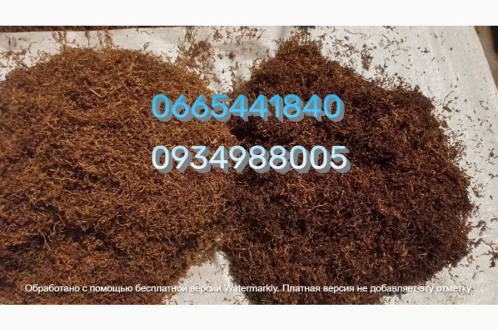 Табак Мальбро, Голд, Руно, Ксанті, Вінстон, Кемел, Берлі, Вірджинія и другие- фото № 16