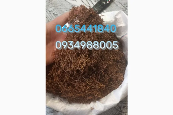 Табак Мальбро, Голд, Руно, Ксанті, Вінстон, Кемел, Берлі, Вірджинія и другие- фото № 15