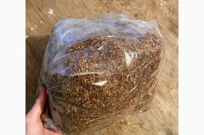 Свежий Табак Вирджиния в продаже- фото № 7