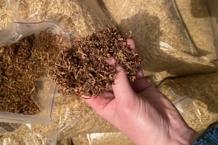 Тютюн Вірджинія – классика для гурманів- фото № 5