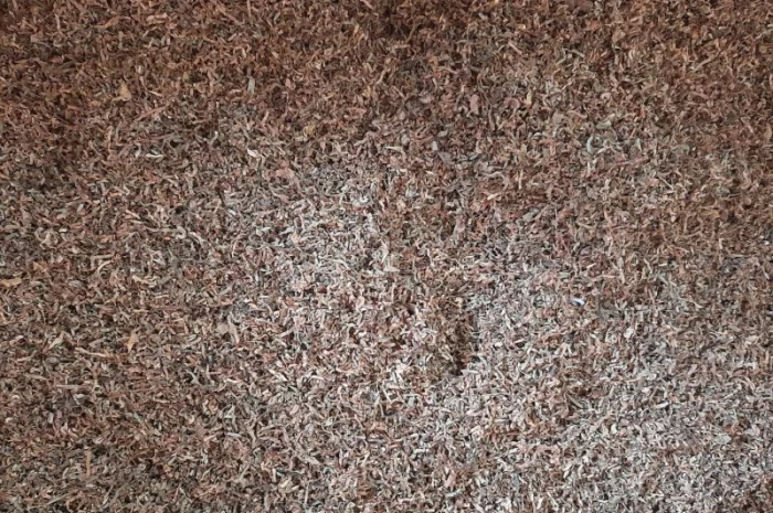 Сухий табак різних сортів високої якості- фото № 5