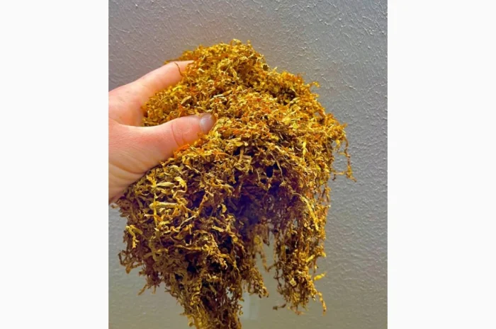 Табак разных брендов в продаже- фото № 5