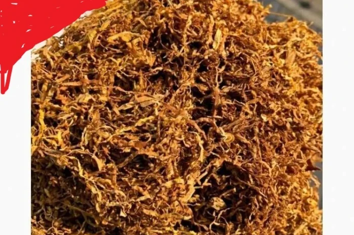 Якісний тютюн Вірджинія у продажу- фото № 2