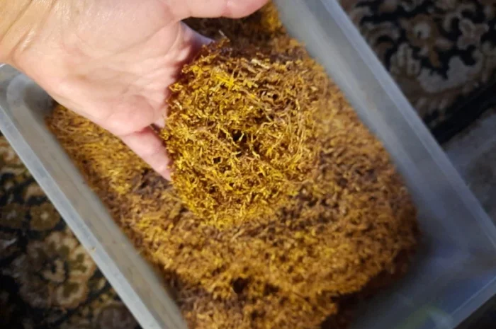 Оптовая и розничная продажа табака Вірджинія Берлі- фото № 6