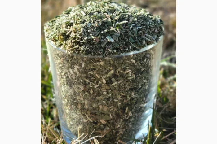 Самосад- фото № 1