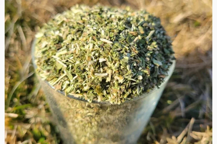 Продажа самосада - махорка- фото № 1